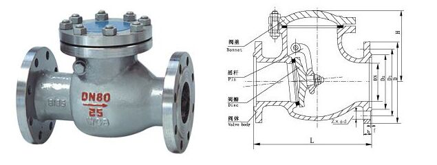 國標(biāo)旋啟式止回閥結(jié)構(gòu)圖