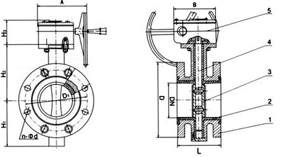 D341X法蘭橡膠蝶閥結(jié)構(gòu)圖